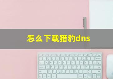 怎么下载猎豹dns