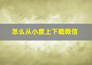 怎么从小度上下载微信