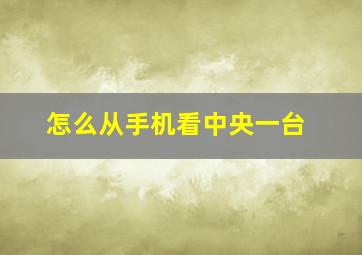 怎么从手机看中央一台