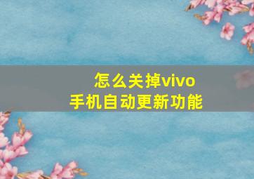 怎么关掉vivo手机自动更新功能