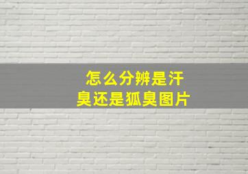 怎么分辨是汗臭还是狐臭图片