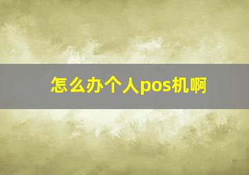 怎么办个人pos机啊