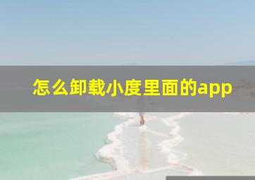 怎么卸载小度里面的app