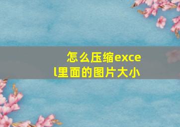 怎么压缩excel里面的图片大小