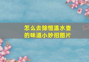 怎么去除恒温水壶的味道小妙招图片