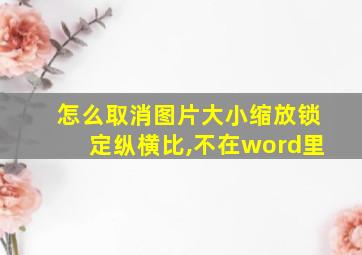 怎么取消图片大小缩放锁定纵横比,不在word里