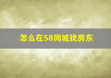 怎么在58同城找房东