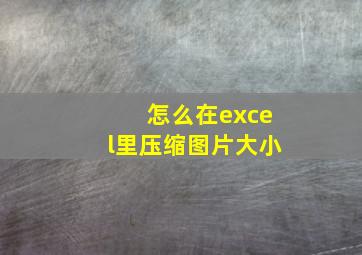 怎么在excel里压缩图片大小