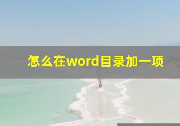 怎么在word目录加一项