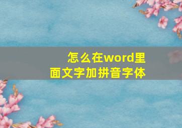 怎么在word里面文字加拼音字体