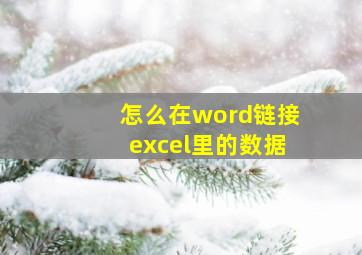 怎么在word链接excel里的数据