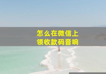 怎么在微信上领收款码音响