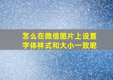 怎么在微信图片上设置字体样式和大小一致呢