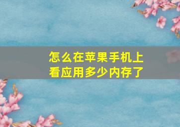 怎么在苹果手机上看应用多少内存了