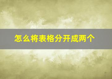 怎么将表格分开成两个