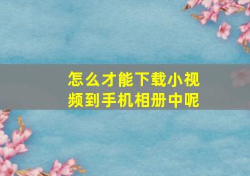 怎么才能下载小视频到手机相册中呢