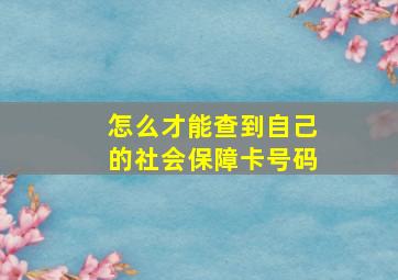 怎么才能查到自己的社会保障卡号码