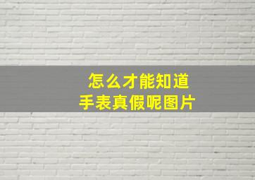 怎么才能知道手表真假呢图片