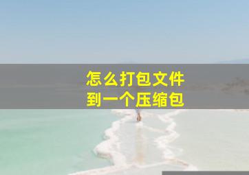 怎么打包文件到一个压缩包