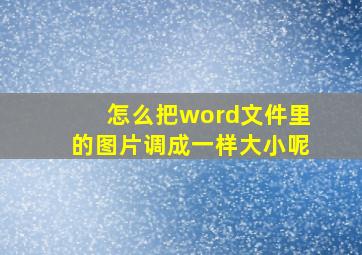 怎么把word文件里的图片调成一样大小呢