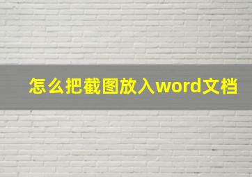 怎么把截图放入word文档