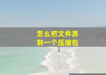 怎么把文件弄到一个压缩包