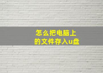 怎么把电脑上的文件存入u盘