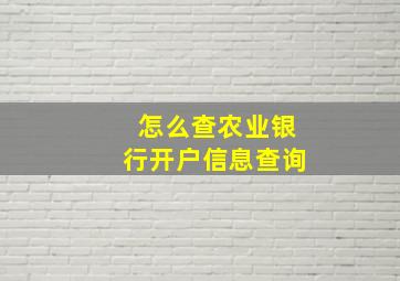 怎么查农业银行开户信息查询