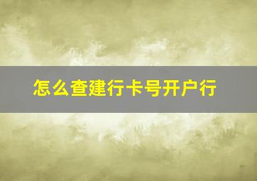 怎么查建行卡号开户行