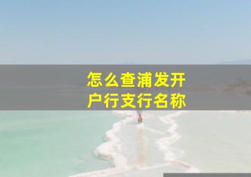 怎么查浦发开户行支行名称