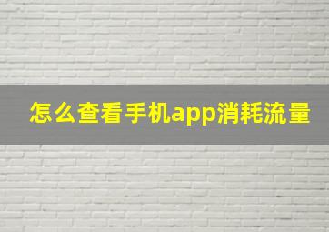 怎么查看手机app消耗流量