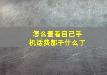 怎么查看自己手机话费都干什么了