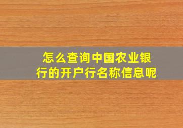 怎么查询中国农业银行的开户行名称信息呢