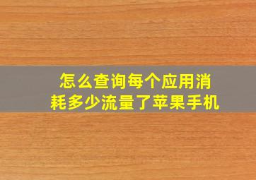 怎么查询每个应用消耗多少流量了苹果手机