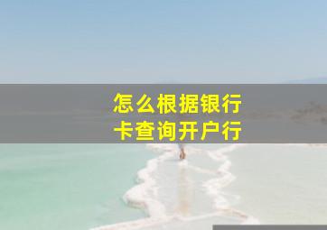 怎么根据银行卡查询开户行