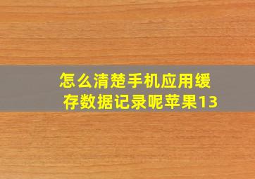 怎么清楚手机应用缓存数据记录呢苹果13