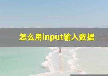 怎么用input输入数据