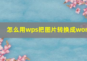 怎么用wps把图片转换成word