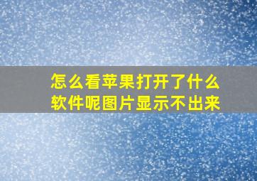 怎么看苹果打开了什么软件呢图片显示不出来