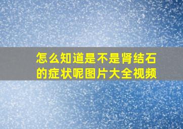 怎么知道是不是肾结石的症状呢图片大全视频