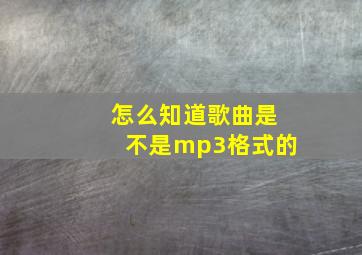 怎么知道歌曲是不是mp3格式的