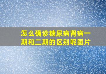 怎么确诊糖尿病肾病一期和二期的区别呢图片