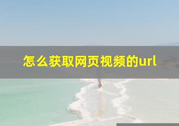 怎么获取网页视频的url