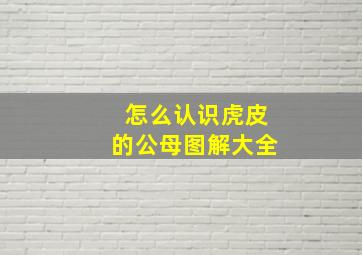 怎么认识虎皮的公母图解大全