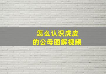 怎么认识虎皮的公母图解视频