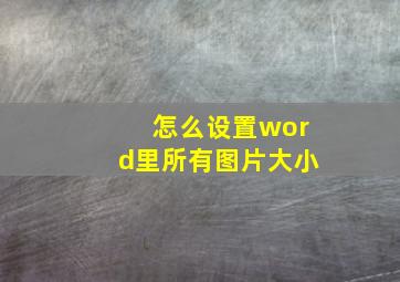 怎么设置word里所有图片大小