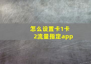 怎么设置卡1卡2流量指定app