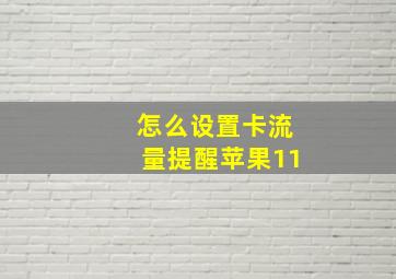 怎么设置卡流量提醒苹果11