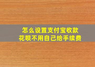 怎么设置支付宝收款花呗不用自己给手续费