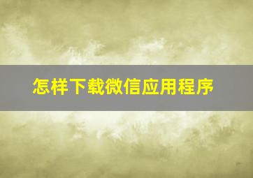 怎样下载微信应用程序